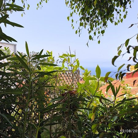 Casa Flora Garden Studio ساوزال المظهر الخارجي الصورة
