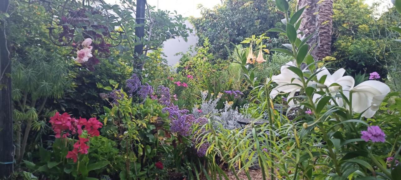 Casa Flora Garden Studio ساوزال المظهر الخارجي الصورة